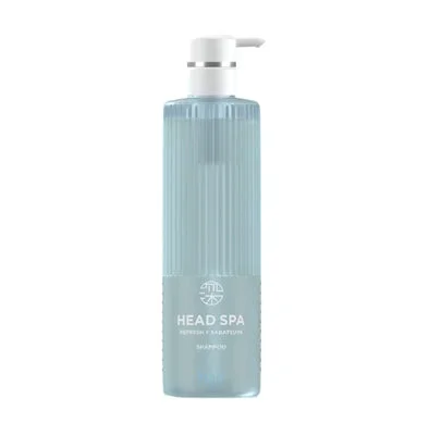 H&S 深层体验头部水疗 h&s Refresh x Smooth Shine 洗发水 435g